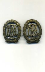 Sportabzeichen DRA in Bronze