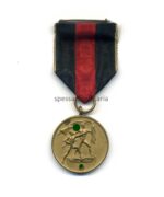 Medaille zur Erinnerung an den 1. Oktober 1938 (Sudetenland-Medaille)